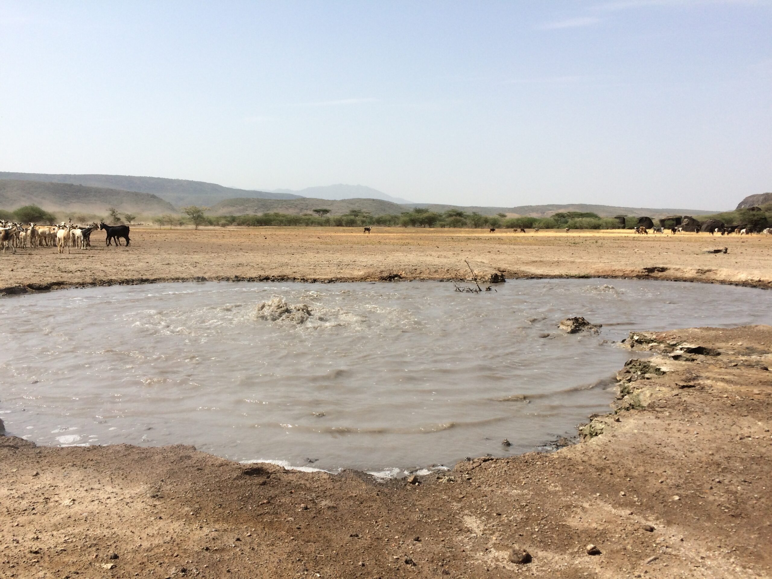 Researchers track sneaky Eastern Rift emissions